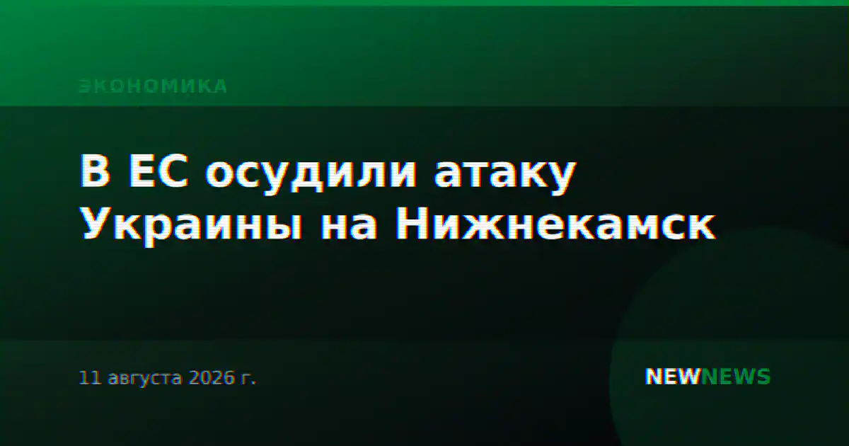 В ЕС осудили атаку Украины на Нижнекамск