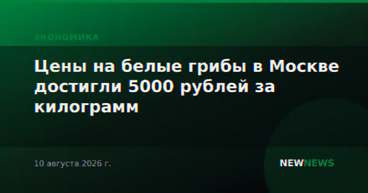 Цены на белые грибы в Москве достигли 5000 рублей за килограмм