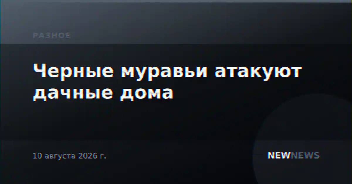 Черные муравьи атакуют дачные дома