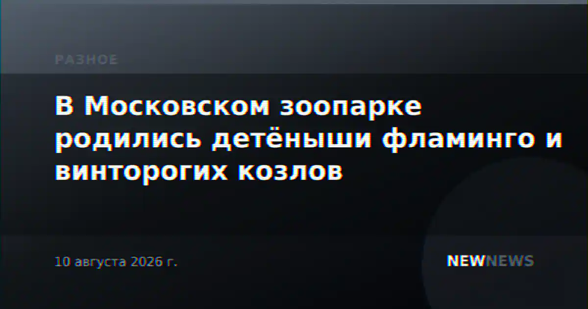 В Московском зоопарке родились детёныши фламинго и винторогих козлов