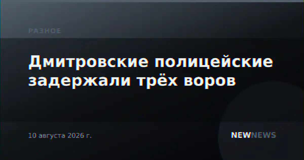 Дмитровские полицейские задержали трёх воров