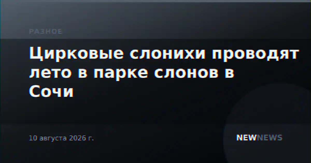 Цирковые слонихи проводят лето в парке слонов в Сочи