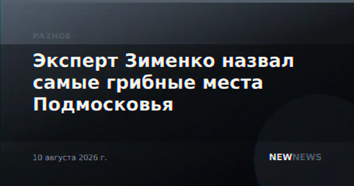 Эксперт Зименко назвал самые грибные места Подмосковья