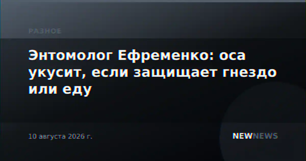 Энтомолог Ефременко: оса укусит, если защищает гнездо или еду