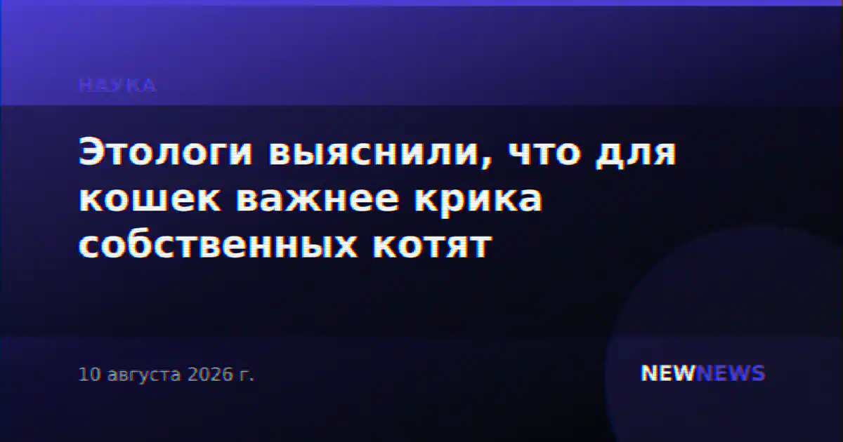 Этологи выяснили, что для кошек важнее крика собственных котят