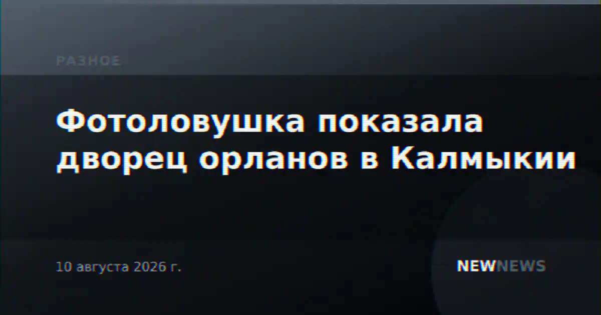 Фотоловушка показала дворец орланов в Калмыкии
