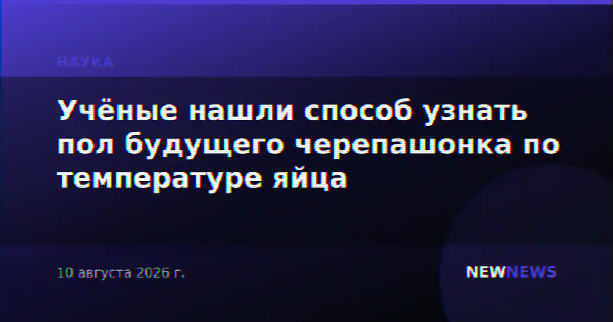 Учёные нашли способ узнать пол будущего черепашонка по температуре яйца