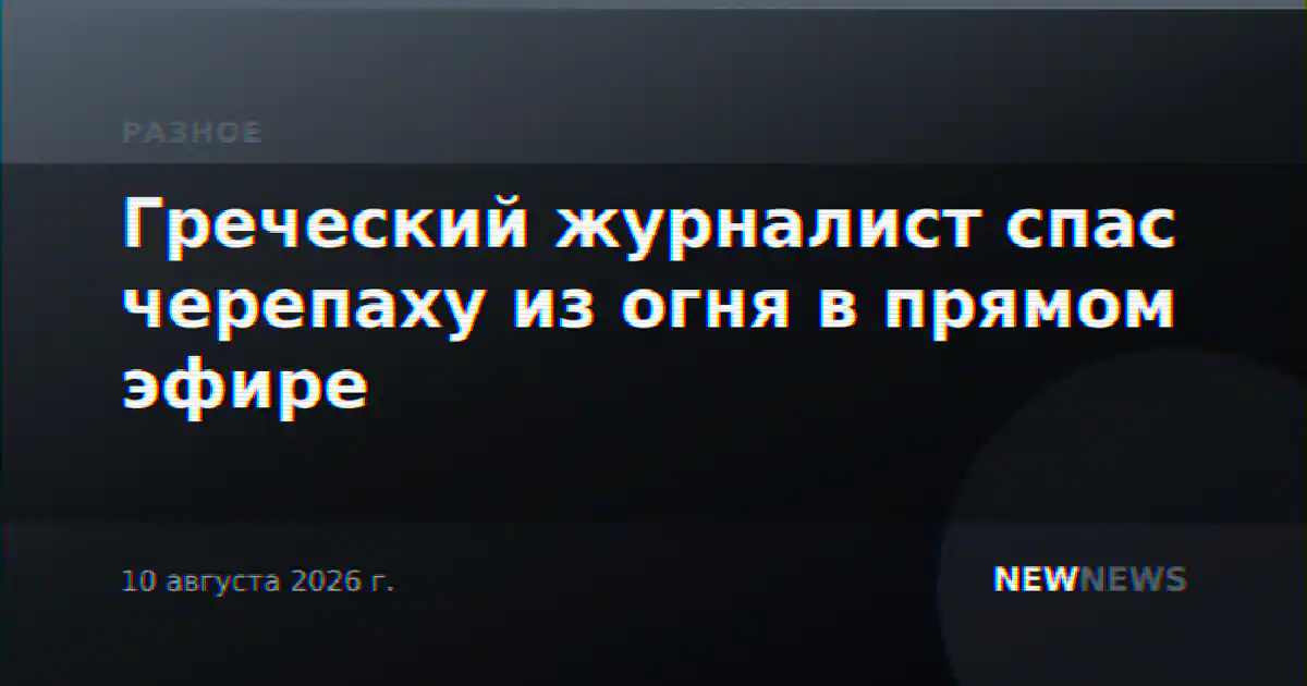 Греческий журналист спас черепаху из огня в прямом эфире