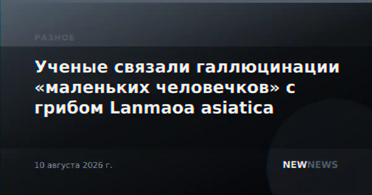 Ученые связали галлюцинации «маленьких человечков» с грибом Lanmaoa asiatica