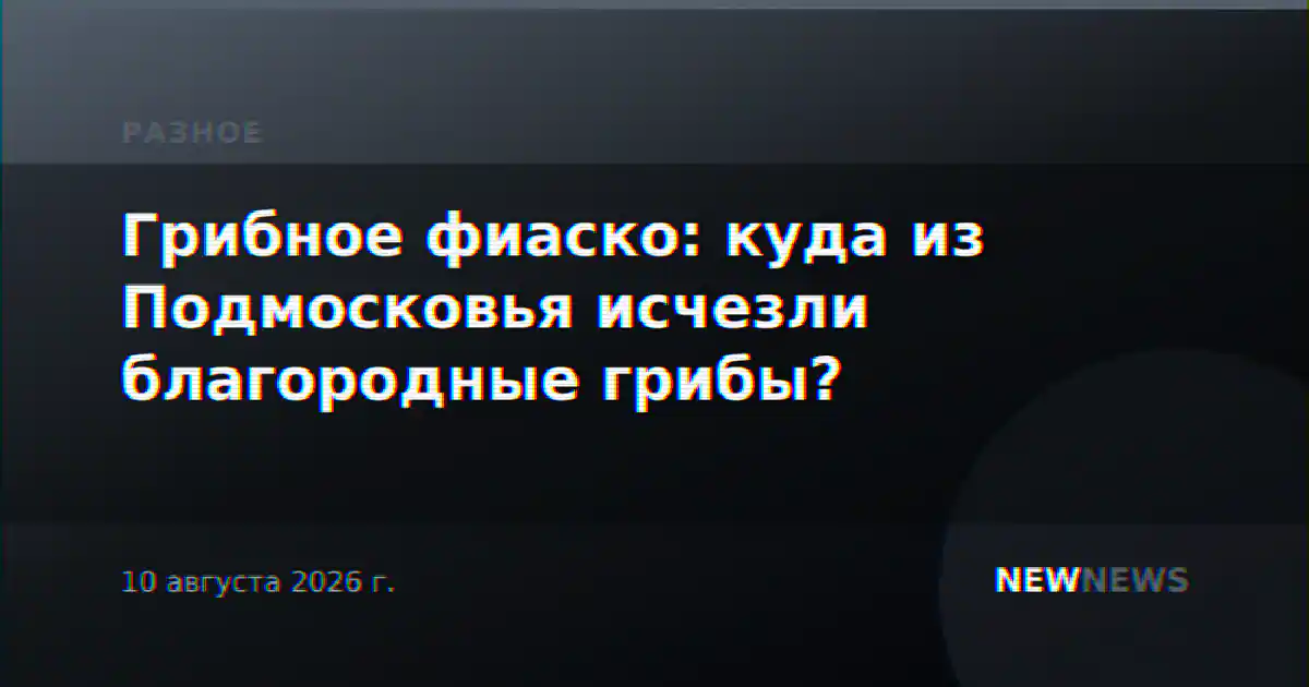 Грибное фиаско: куда из Подмосковья исчезли благородные грибы?