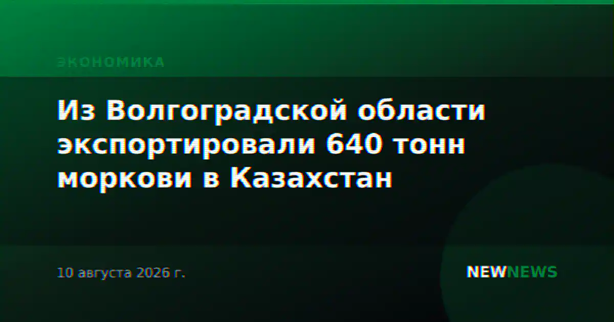 Из Волгоградской области экспортировали 640 тонн моркови в Казахстан