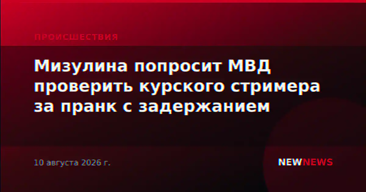 Мизулина попросит МВД проверить курского стримера за пранк с задержанием