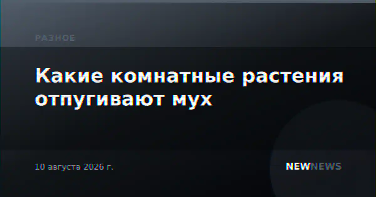 Какие комнатные растения отпугивают мух