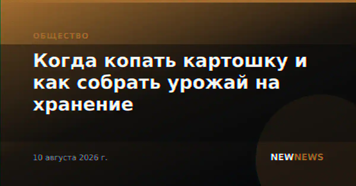 Когда копать картошку и как собрать урожай на хранение