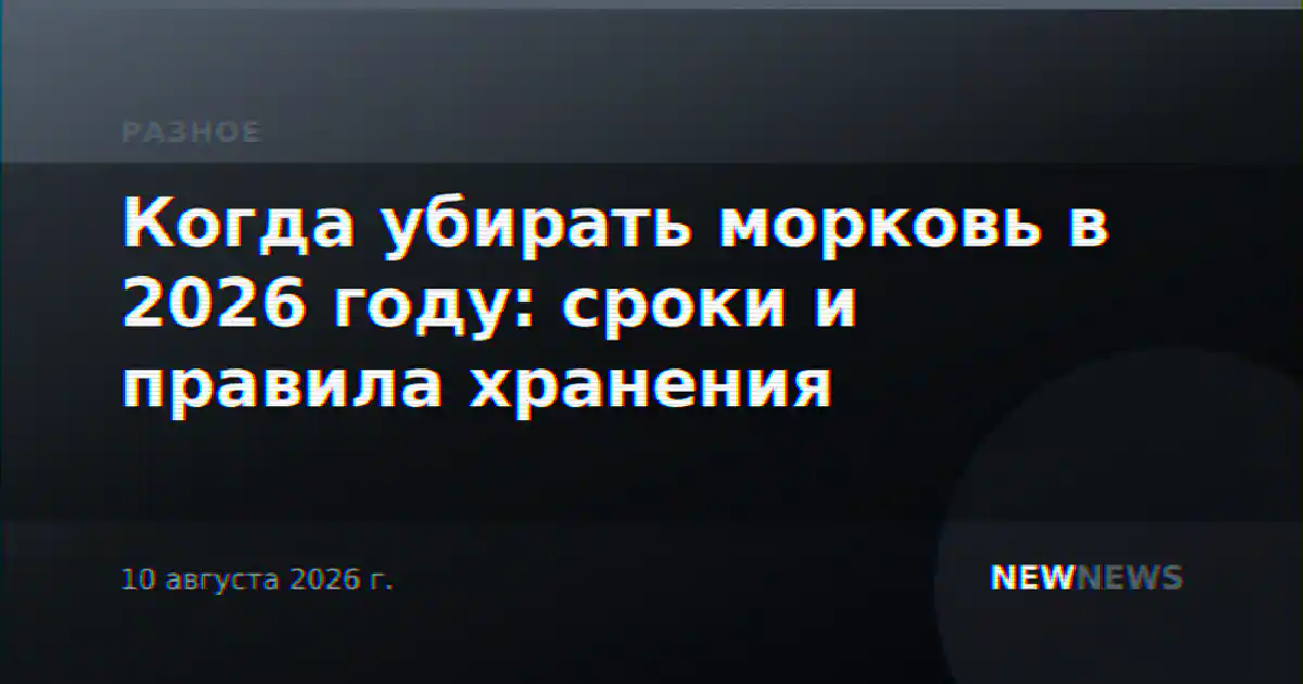 Когда убирать морковь в 2026 году: сроки и правила хранения