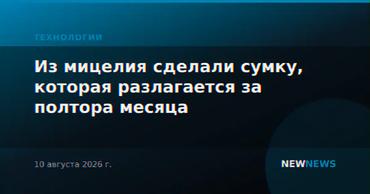Из мицелия сделали сумку, которая разлагается за полтора месяца