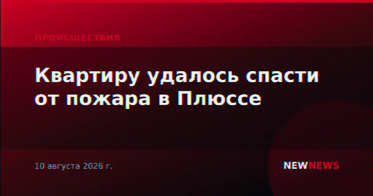 Квартиру удалось спасти от пожара в Плюссе