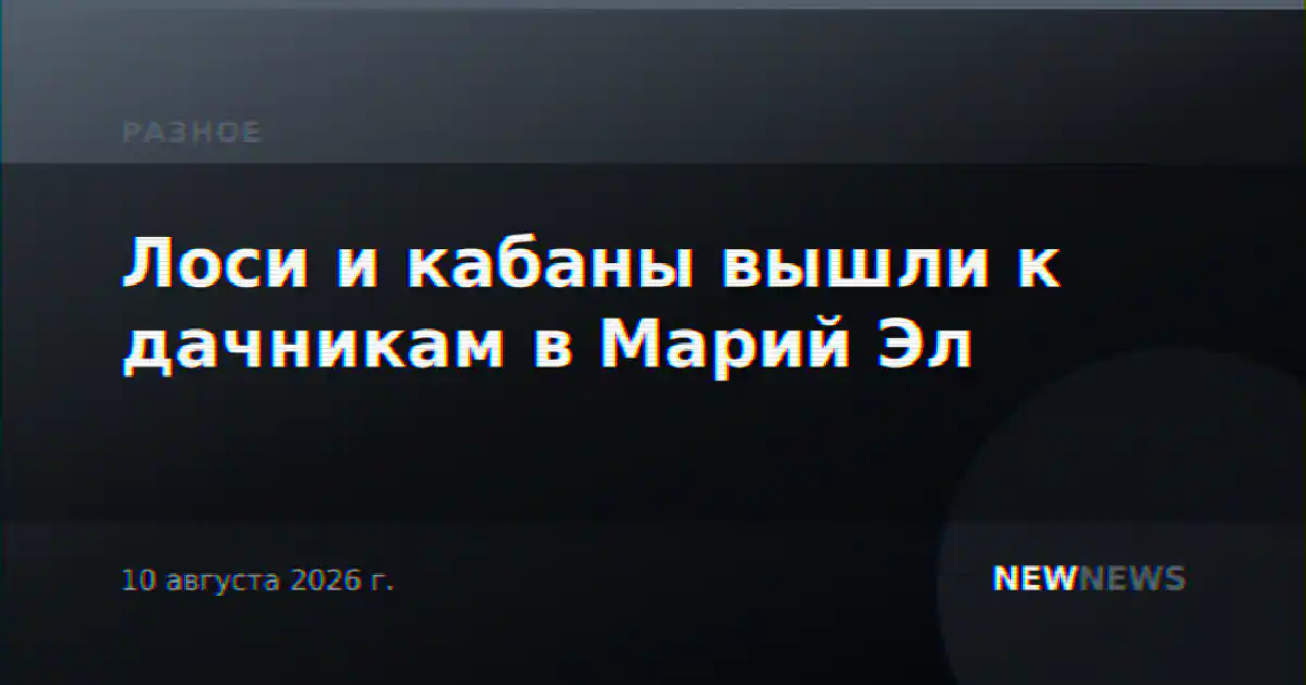 Лоси и кабаны вышли к дачникам в Марий Эл