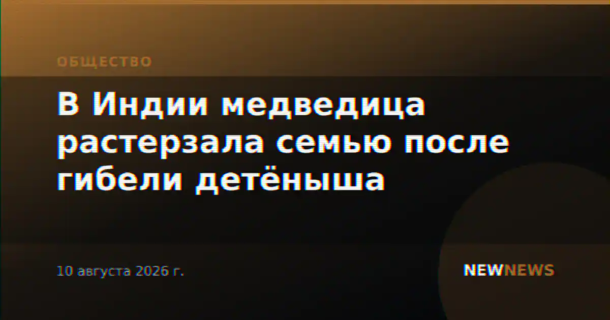 В Индии медведица растерзала семью после гибели детёныша