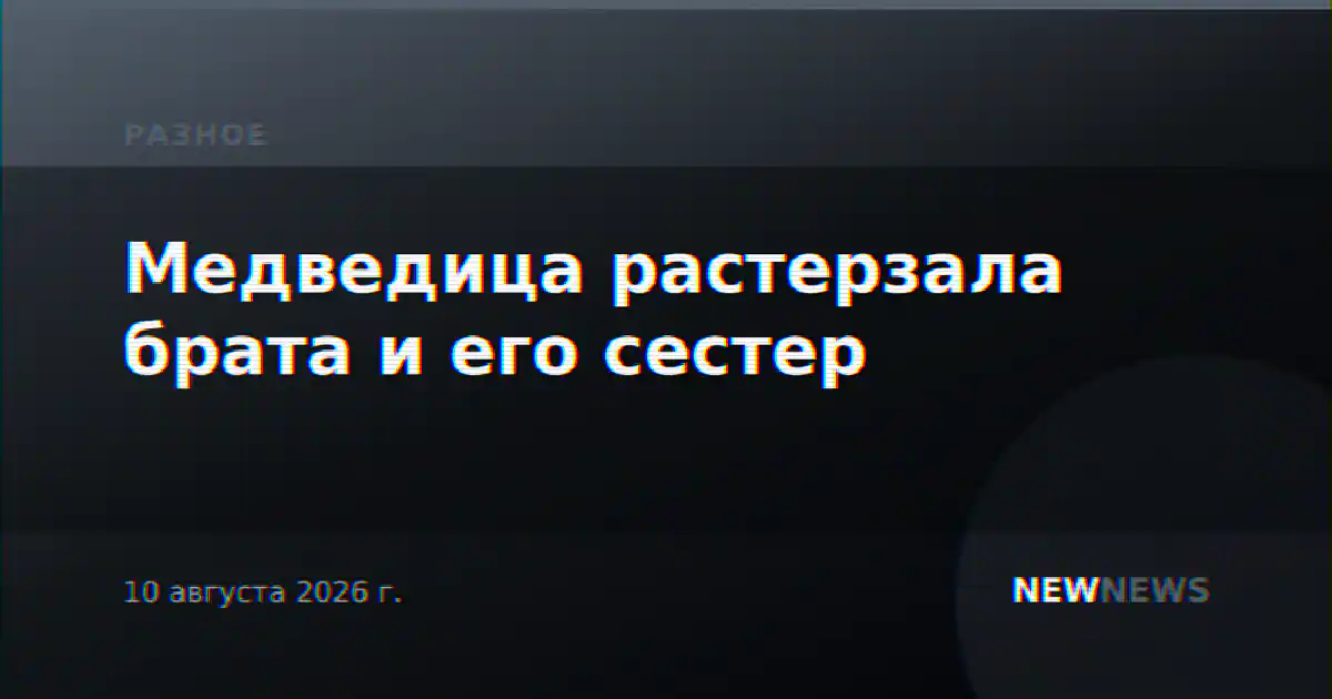 Медведица растерзала брата и его сестер