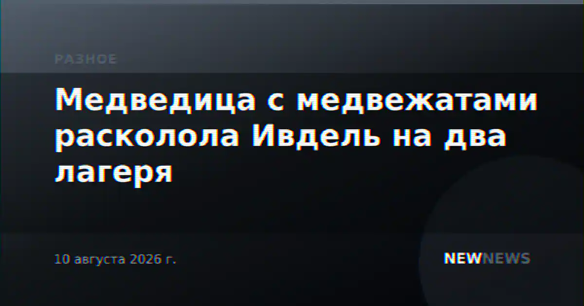 Медведица с медвежатами расколола Ивдель на два лагеря