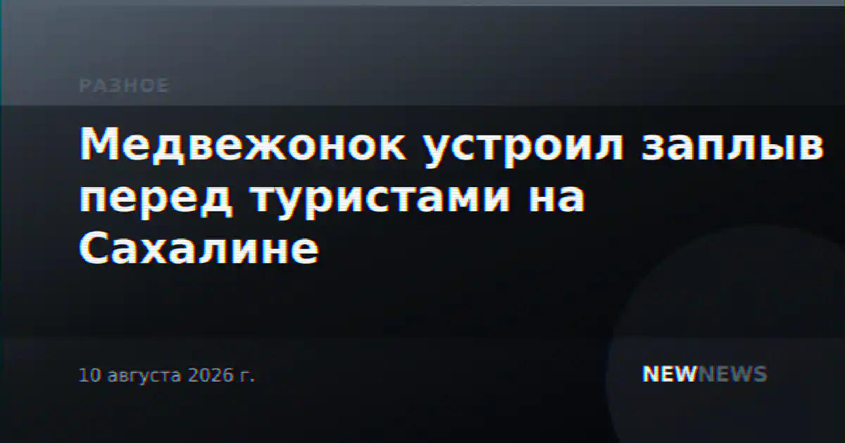 Медвежонок устроил заплыв перед туристами на Сахалине