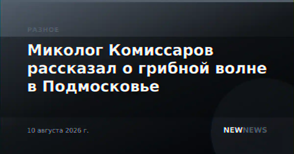 Миколог Комиссаров рассказал о грибной волне в Подмосковье