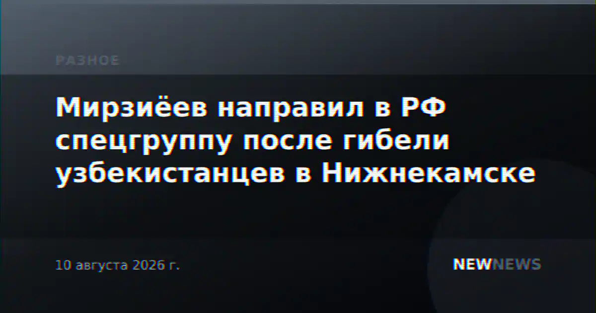 Мирзиёев направил в РФ спецгруппу после гибели узбекистанцев в Нижнекамске