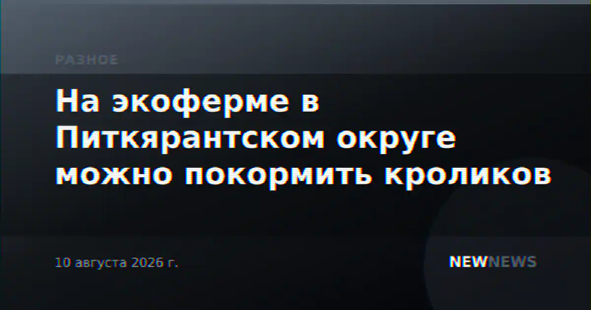 На экоферме в Питкярантском округе можно покормить кроликов