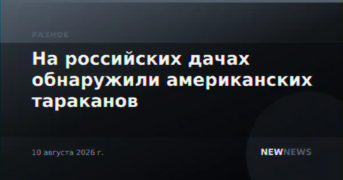 На российских дачах обнаружили американских тараканов