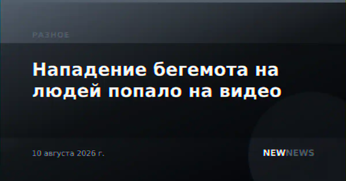 Нападение бегемота на людей попало на видео