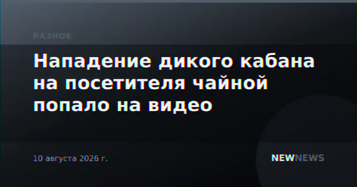 Нападение дикого кабана на посетителя чайной попало на видео