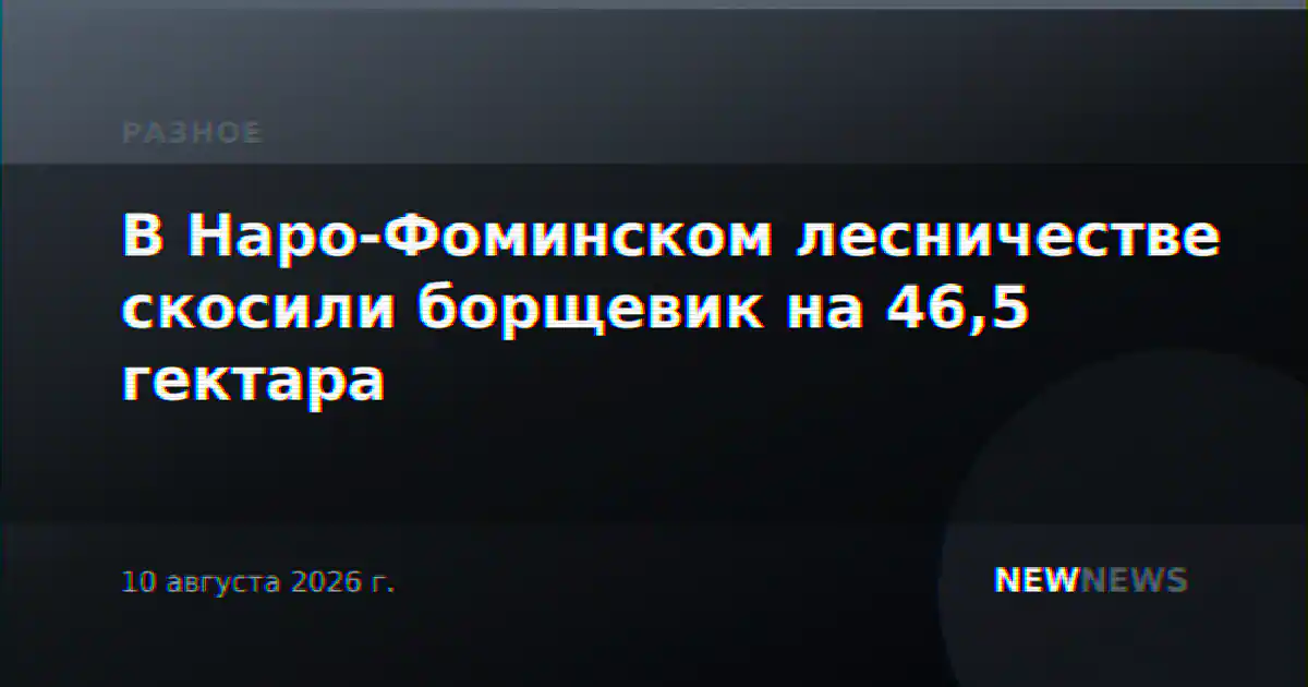 В Наро-Фоминском лесничестве скосили борщевик на 46,5 гектара