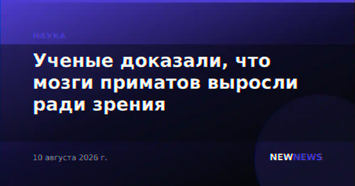 Ученые доказали, что мозги приматов выросли ради зрения