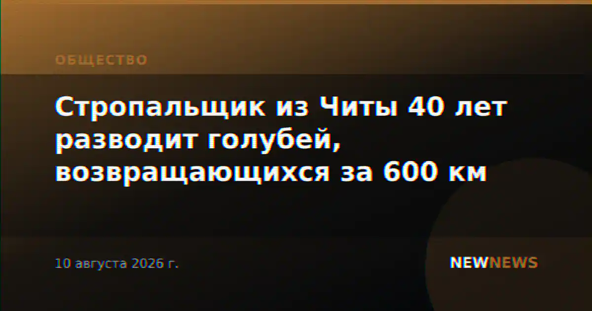 Стропальщик из Читы 40 лет разводит голубей, возвращающихся за 600 км