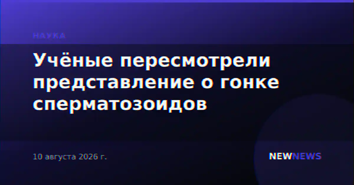 Учёные пересмотрели представление о гонке сперматозоидов