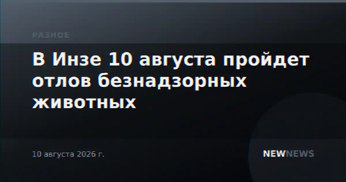 В Инзе 10 августа пройдет отлов безнадзорных животных