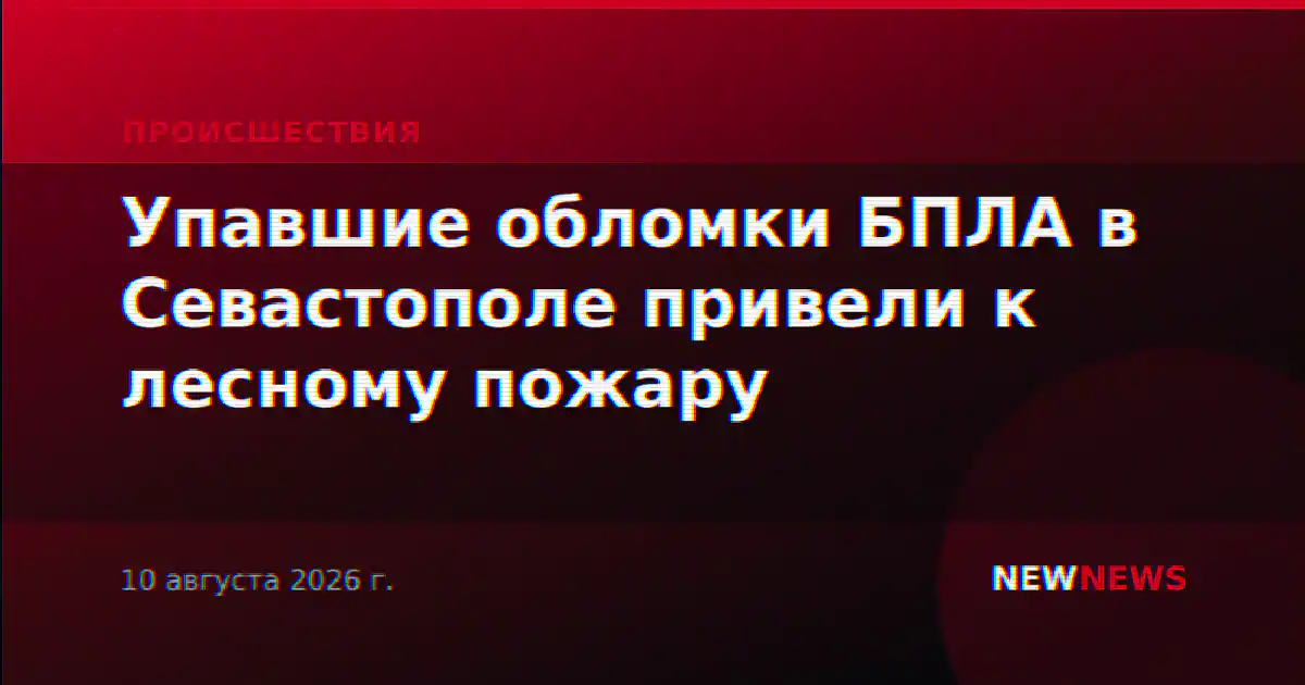Упавшие обломки БПЛА в Севастополе привели к лесному пожару