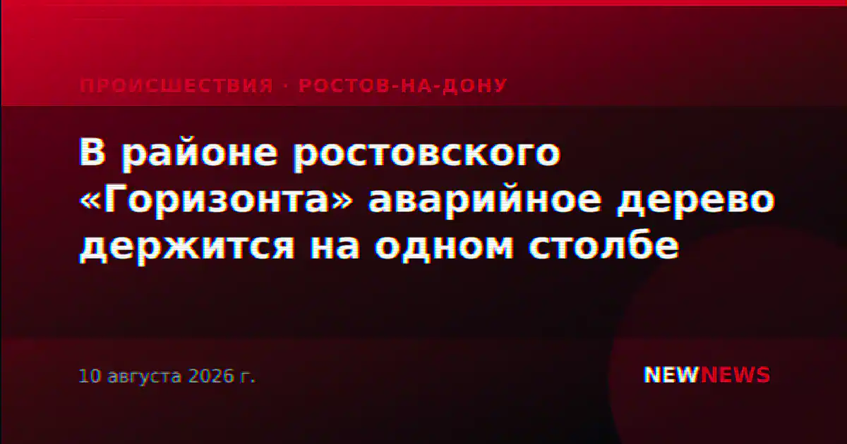 В районе ростовского «Горизонта» аварийное дерево держится на одном столбе
