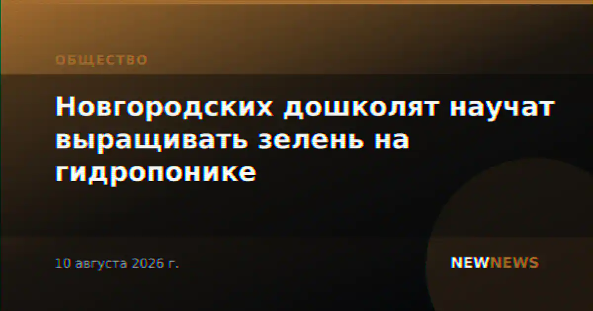 Новгородских дошколят научат выращивать зелень на гидропонике