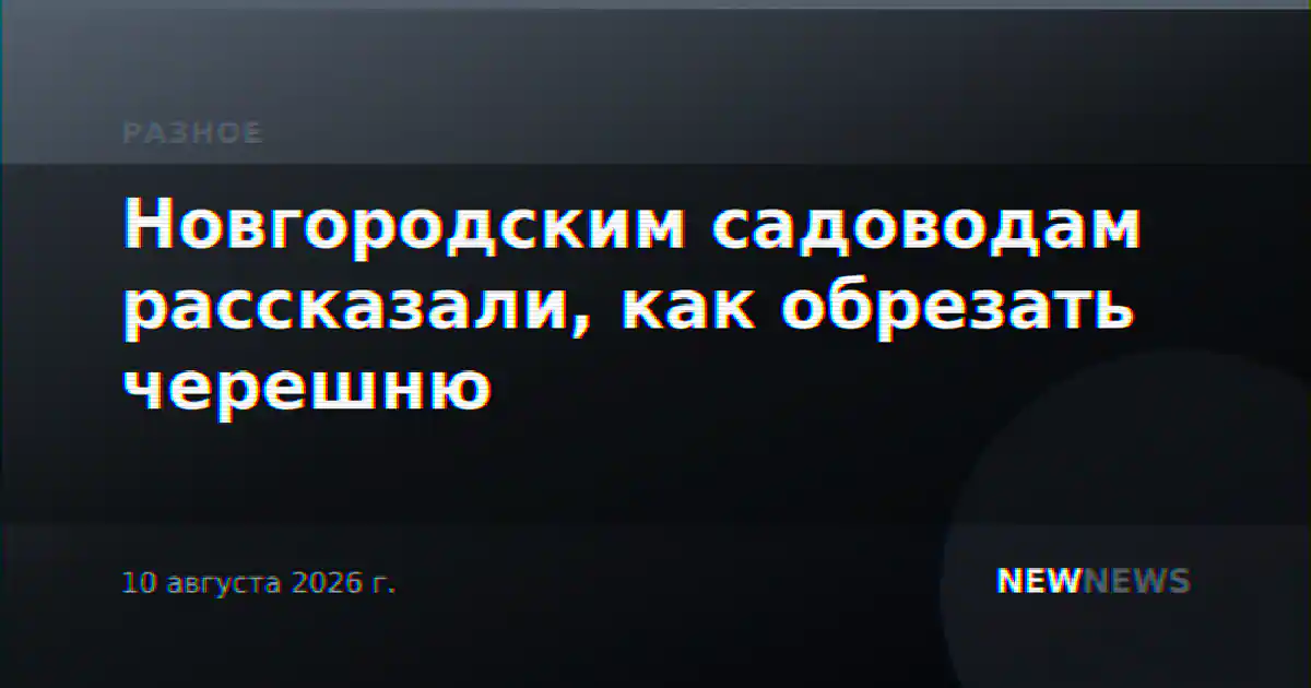 Новгородским садоводам рассказали, как обрезать черешню