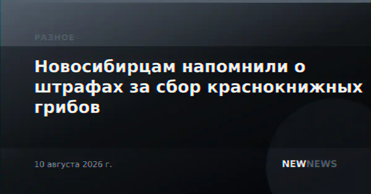 Новосибирцам напомнили о штрафах за сбор краснокнижных грибов