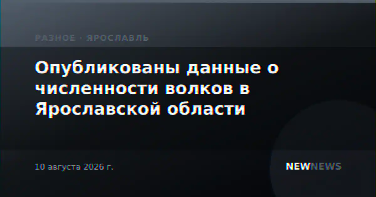 Опубликованы данные о численности волков в Ярославской области