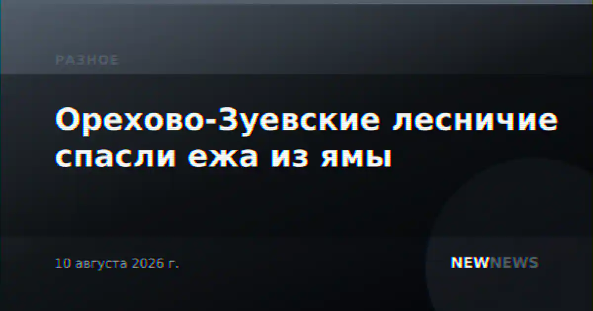 Орехово-Зуевские лесничие спасли ежа из ямы