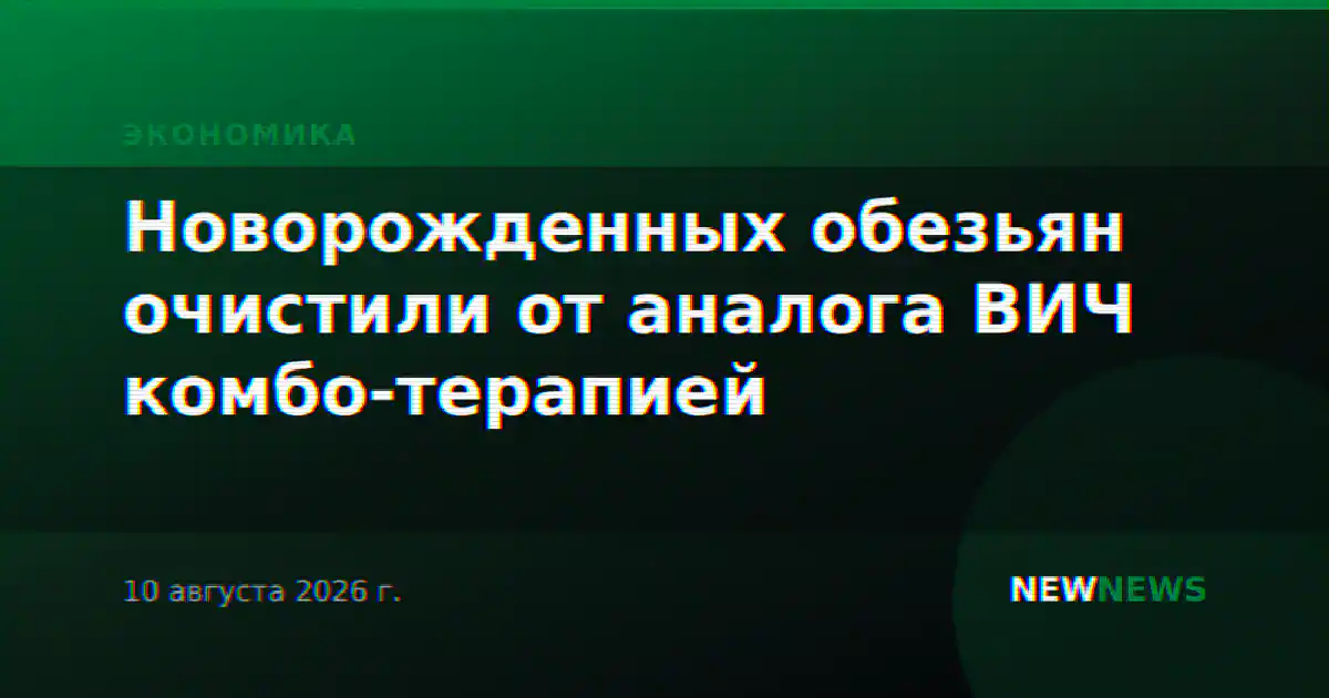 Новорожденных обезьян очистили от аналога ВИЧ комбо-терапией
