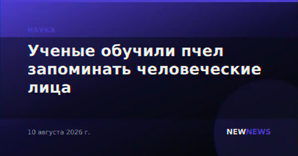 Ученые обучили пчел запоминать человеческие лица