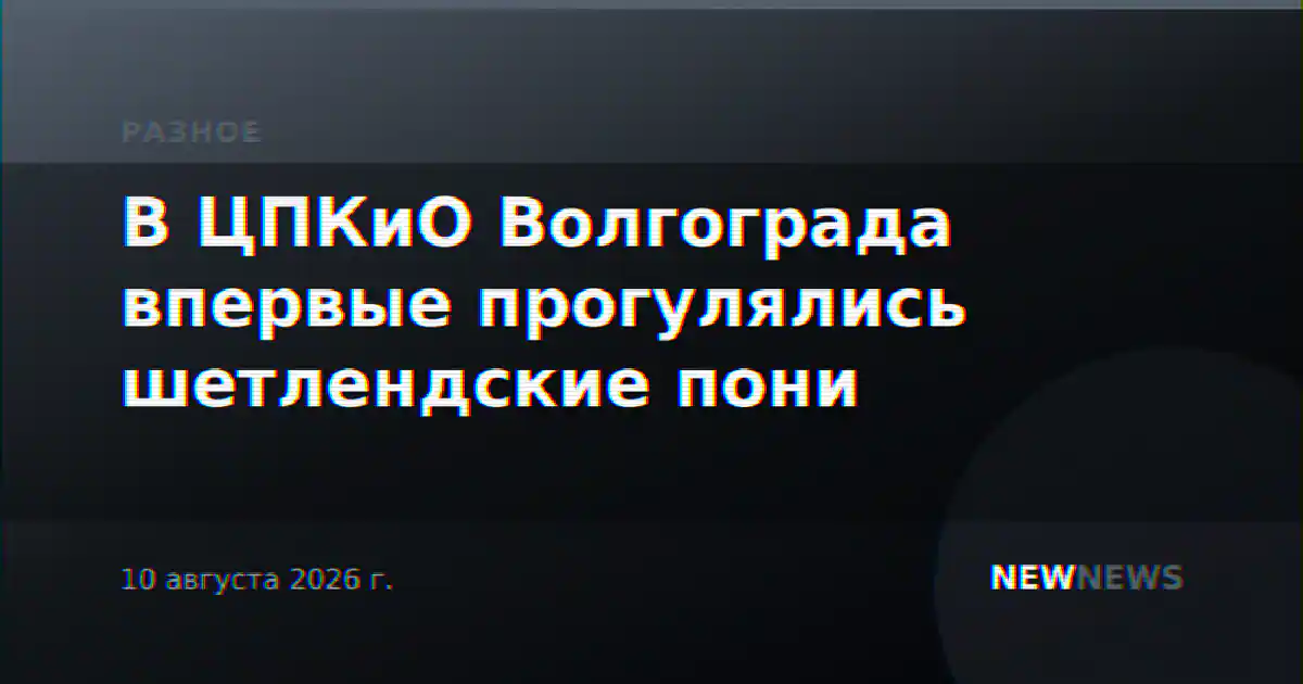 В ЦПКиО Волгограда впервые прогулялись шетлендские пони