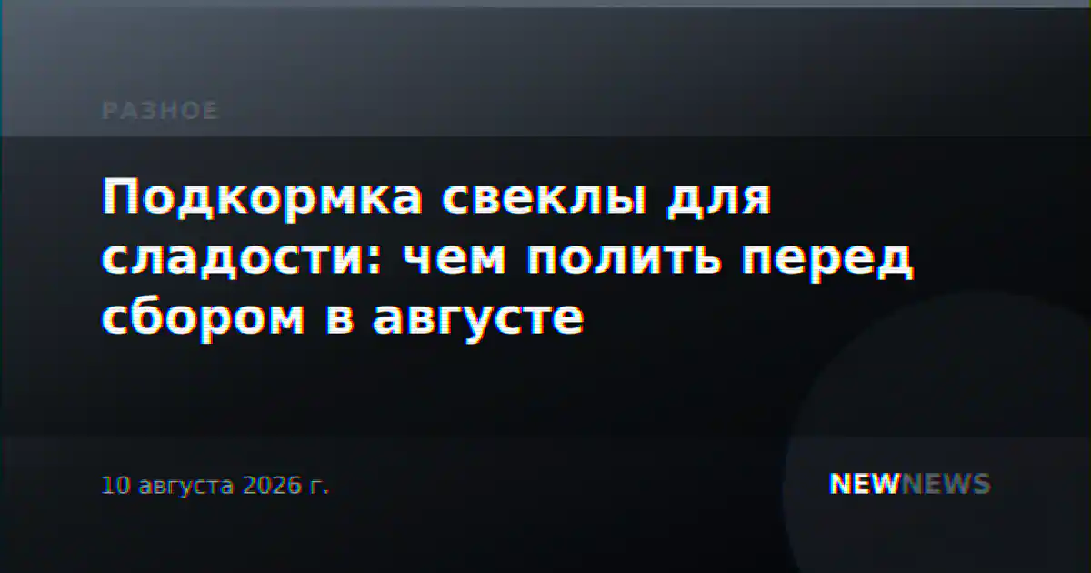 Подкормка свеклы для сладости: чем полить перед сбором в августе