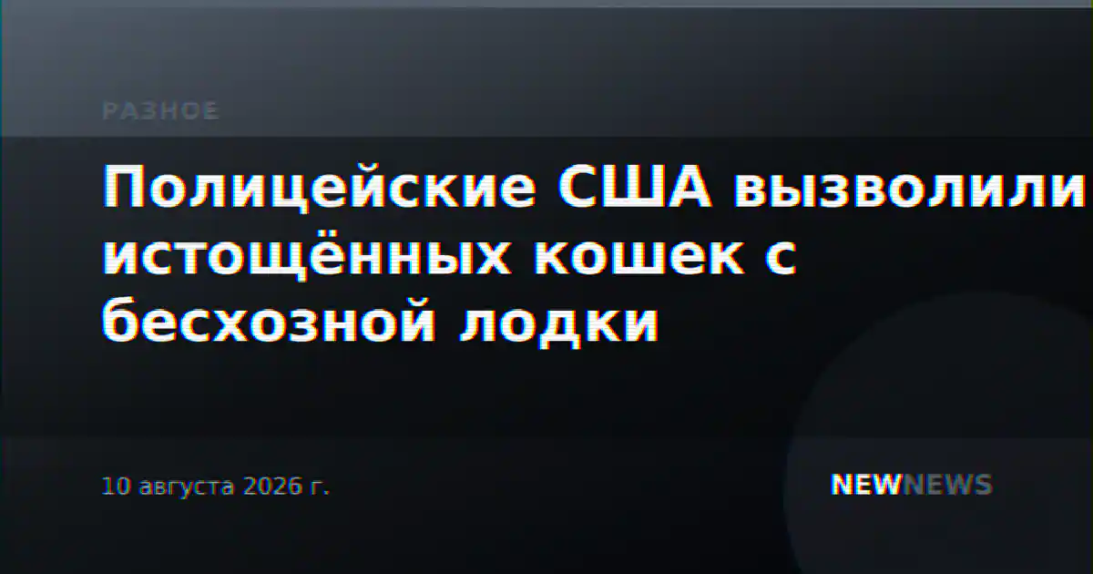 Полицейские США вызволили истощённых кошек с бесхозной лодки