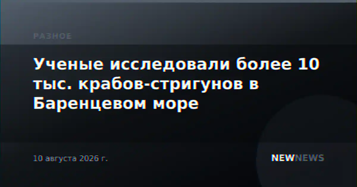 Ученые исследовали более 10 тыс. крабов-стригунов в Баренцевом море